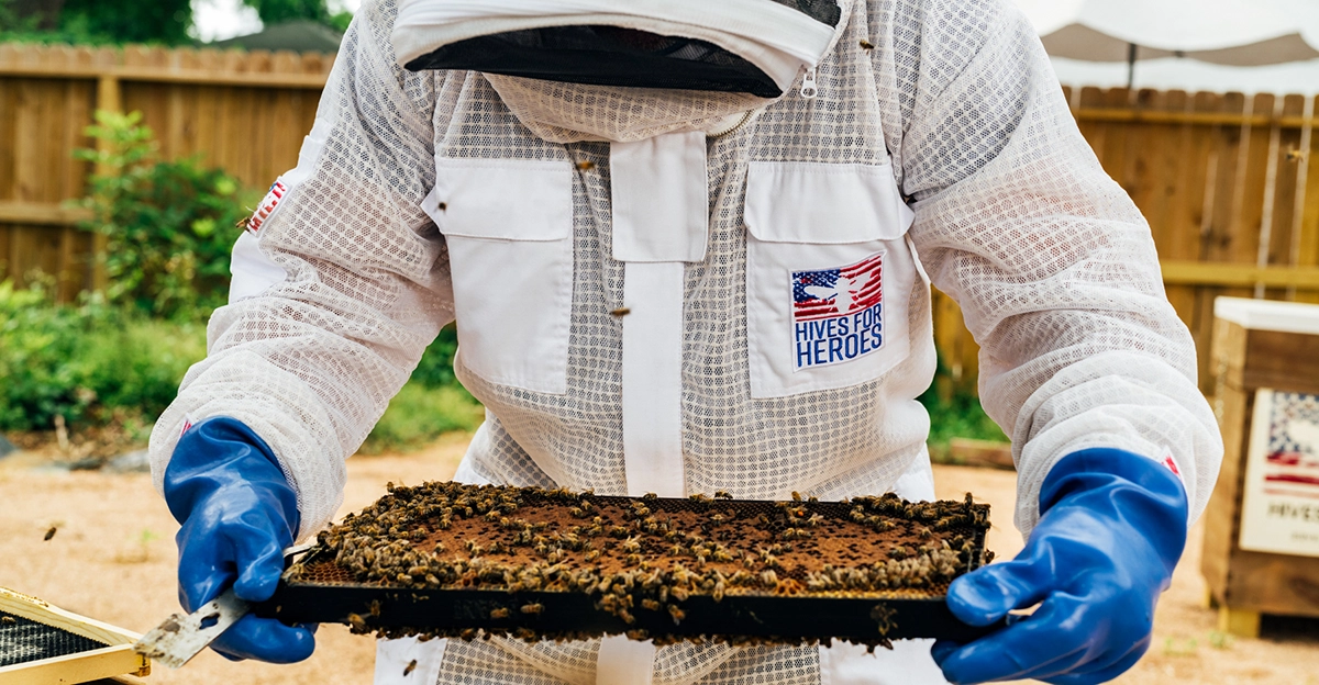 A beekeeper holding a tray of bees